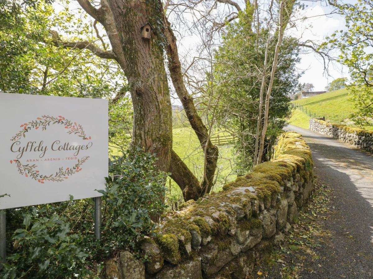 Cyffdy Cottage - Aran Llanycil Exterior foto